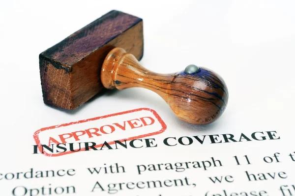 What Everyone Should Know About Insurance Basics