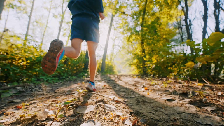 Foods That Naturally Support Hormonal Balance