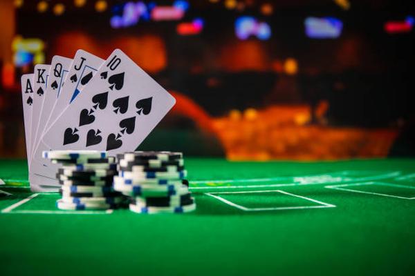 Where Users Begin Their Search for betting sites in uae